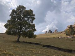 -克什克腾世界地质公园青山景区