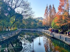 -赭山公园