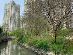 -苏州河梦清园环保主题公园