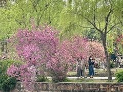 -无锡蠡湖国家湿地公园-蠡园