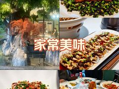 -院里寻菜·精致庭院菜(观沙岭店)