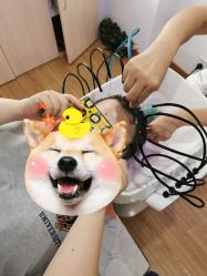 -黑奥秘脱发白发中心