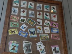 -蝶舍·MAISON PAPILLON