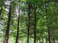 -贵阳市花溪国家城市湿地公园