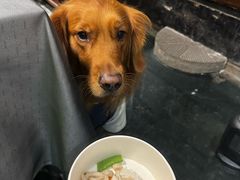 -鱼桥巷·美学川菜