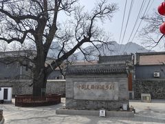 -康陵正德春饼宴26号