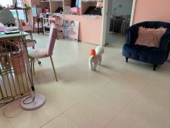 店内环境-Pink You美甲美睫纹绣定制中心