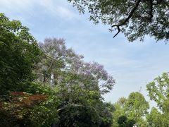 -成都安仁福朋喜来登酒店