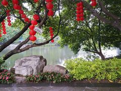 -荔湾湖公园