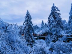 -瓦屋山景区