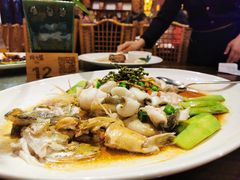 -猪肉婆私房菜(容桂总店)