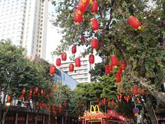 -越秀西湖花市(广州城市广场花卉店)