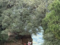 -窦圌山风景区