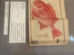 -东京国立博物馆