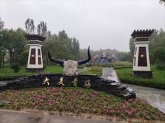 -武清南湖绿博园