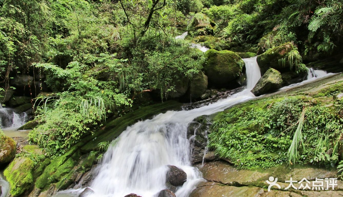 宜昌小众旅游好去处——三峡竹海景区