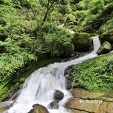宜昌小众旅游好去处——三峡竹海景区
