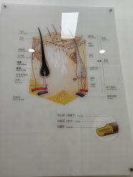 点击看大图 -岳灵生发养发馆