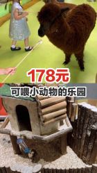 -七巧国萌宠乐园(龙湖天街店)