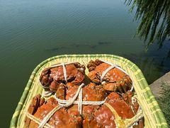 -蟹天蟹地农家菜·阳澄湖大闸蟹(浅水湾店)