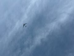 -春花秋色城市公园