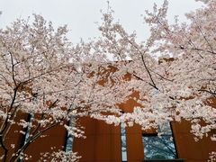 -中山公园