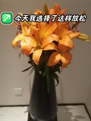 -美玫美容SPA护理中心