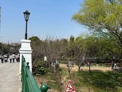 -新江湾城公园