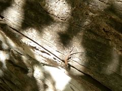 -北京上方山国家森林公园