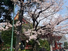 -浅草寺