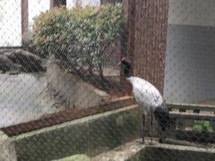 -南昌动物园