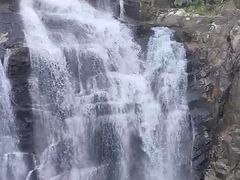 -海南热带雨林国家公园吊罗山景区