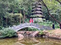 -深圳国际园林花卉博览园