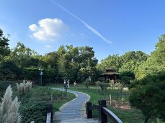 -东湖落雁景区