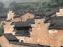 -杨家堂村