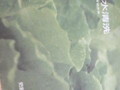 -麦当劳(南京南站站外店)
