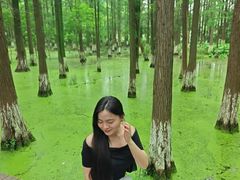 -艾溪湖湿地公园