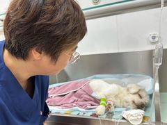 -派美特宠物医院·核磁CT·骨科肿瘤·疑难转诊(沈农禾丰店)
