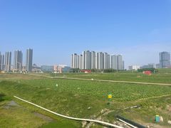 -光明小镇欢乐田园