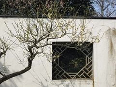 -梅花山(明孝陵内)