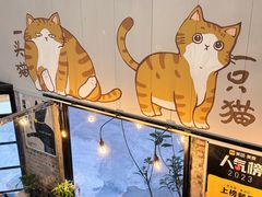 -豆逗聊愈猫阁Easy Life