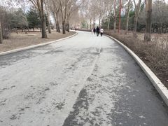 -长春公园(普阳街道)