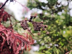 景点-文昌阁-老东门遗址