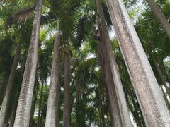 -竹子林(地铁站)