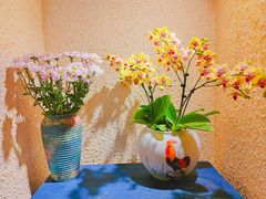 -绝城芋儿鸡(犀浦旗舰店)