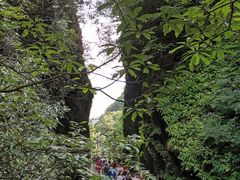 -夏霖九天银瀑风景区