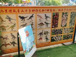 点击看大图 -寻石问宝研学亲子乐园(朝阳公园店)