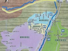 -汤旺河林海奇石景区