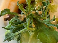 -圣丰索菲特·2 On 988 Café 自助餐厅