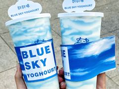 -白色日记·手作酸奶(麦凯乐店)